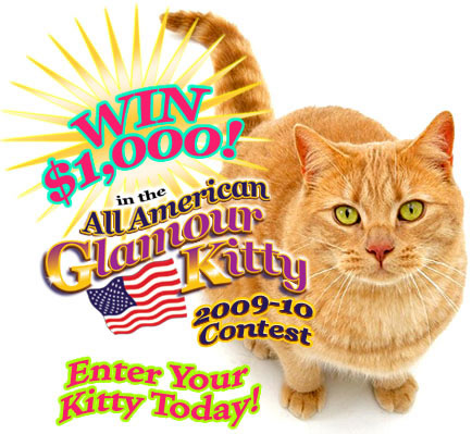 ENTER the 2009-2010 All American Glamour Kitty Contest Today!!